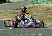 DSC_6988 copie